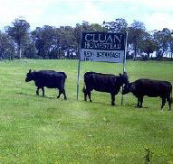 Cluan Homestead - The Managers Residence - Accommodation Perth