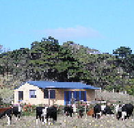 Marrawah Beach House - Accommodation Perth