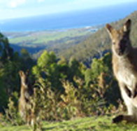 Rainbow Retreat Wilderness Eco Cabins - Accommodation Perth