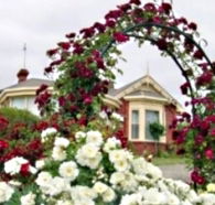 Golden Embers Apartments and B and B - Accommodation Perth