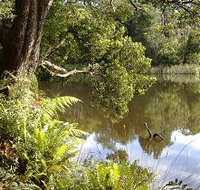 Weldborough Camping Ground - Accommodation Perth