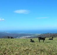 St Marys Seaview Farm - Accommodation Perth