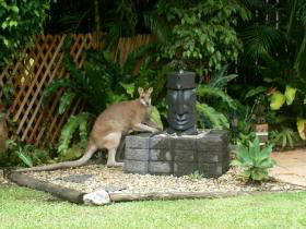 Bluewater Bed And Breakfast Cairns - Accommodation Perth 0