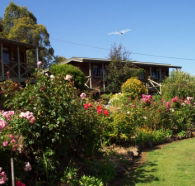 Mole Creek Holiday Village - Accommodation Perth
