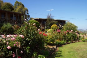 Mole Creek Holiday Village - Accommodation Perth 0