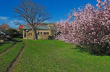 Forget-Me-Not Cottage - Accommodation Perth 3