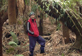 Forest Walks Lodge - Eco-Accommodation - Accommodation Perth 3