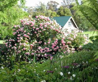 Conmel Cottage - Accommodation Perth 2