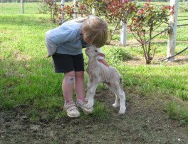 Taras Richmond Farmstay - Accommodation Perth 3