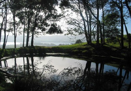 Camellia Cottage At Maple Hill - Accommodation Perth 2