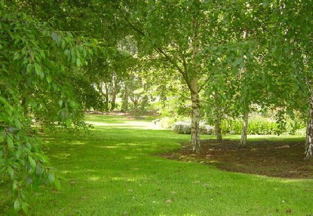 Camellia Cottage At Maple Hill - Accommodation Perth 3