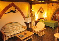 Cedar Park Rainforest Resort - Accommodation Perth 0