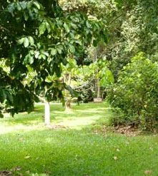 Kingfisher Park Birdwatchers Lodge - Accommodation Perth 0