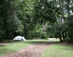 Kingfisher Park Birdwatchers Lodge - Accommodation Perth 5
