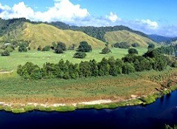 Tranquility On The Daintree - Accommodation Perth 2