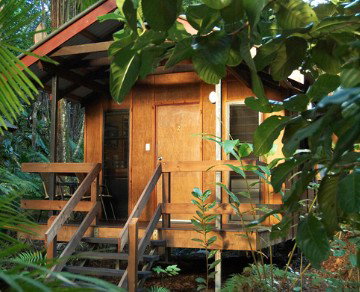 Cape Trib Beach House YHA - Accommodation Perth 4