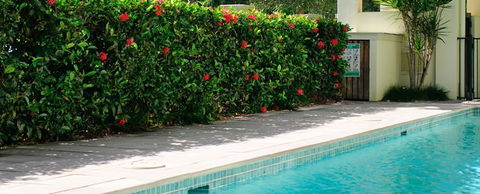 Cairns Beachfront Apartment - Accommodation Perth 5