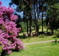 Figlea Cottages - Accommodation Perth