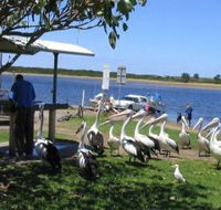 Mountain View Caravan and Mobile Home Village - Accommodation Perth