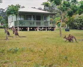 Berringer Lake Holiday Cottages - Accommodation Perth 0