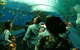 Catalina Resort - thumb 7