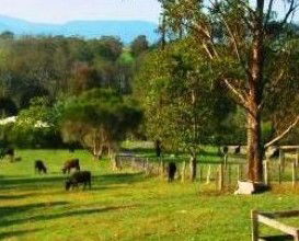 Giba Gunyah Country Cottages - Accommodation Perth 1