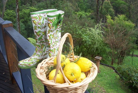 Bellbird Cottage Bed And Breakfast - Accommodation Perth 4