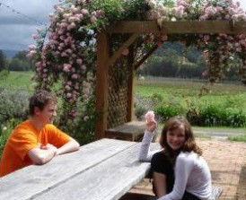 Back Forest Retreat - Accommodation Perth 1