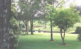Ferngrove Estate - Accommodation Perth 1