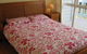 Bellbird Beach House - thumb 2
