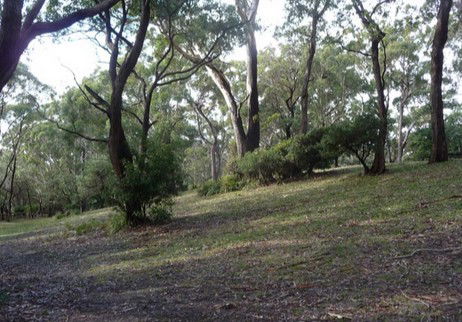 Booderee National Park: Green Patch Camping Area - Accommodation Perth 3