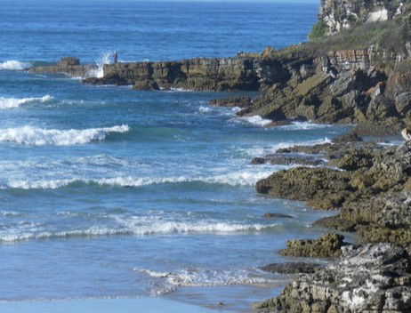 Booderee National Park: Cave Beach Camping Area - Accommodation Perth 2
