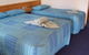 Cooma Country Club Motor Inn - thumb 1