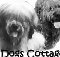 2 Dogs Cottages - Perth Resorts