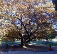 Hillview Oak Bed and Breakfast - Accommodation Perth