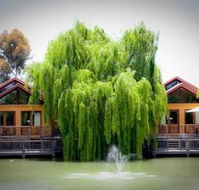 Perricoota Vines Retreat - Accommodation Perth