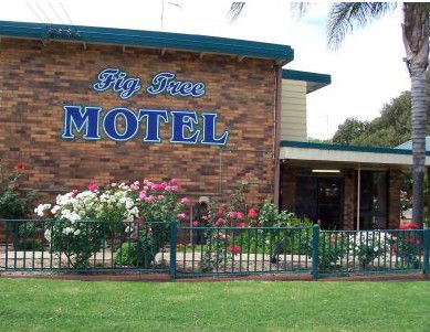 Fig Tree Motel - Accommodation Perth 0