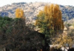 Nundle NSW Accommodation Perth