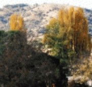 Birches Bed and Breakfast at Nundle - Accommodation Perth