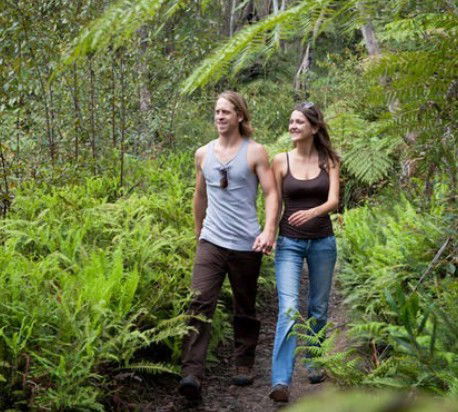 Blackheath Glen Tourist Park - Accommodation Perth 0