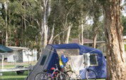 BIG4 Lake Macquarie - Monterey Tourist Park - Accommodation Perth 5
