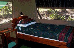 Svendsens Beach, Great Keppel Island - Accommodation Perth 4