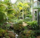 Chamomile Bed and Breakfast - Accommodation Perth