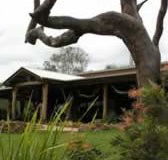 The Hollow Log Country Retreat - Accommodation Perth
