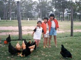 Minmore Farmstay Bed And Breakfast - Accommodation Perth 1