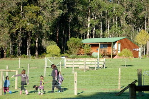Diamond Forest Farm Stay - Accommodation Perth 0