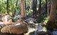 El Questro Homestead - thumb 2