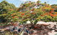 Barnacles Backpackers - thumb 1
