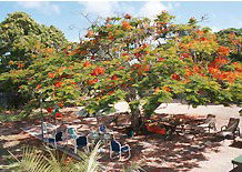 Barnacles Backpackers - Perth Resorts 1