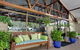 Best Western Colonial Palms Motor Inn - thumb 1